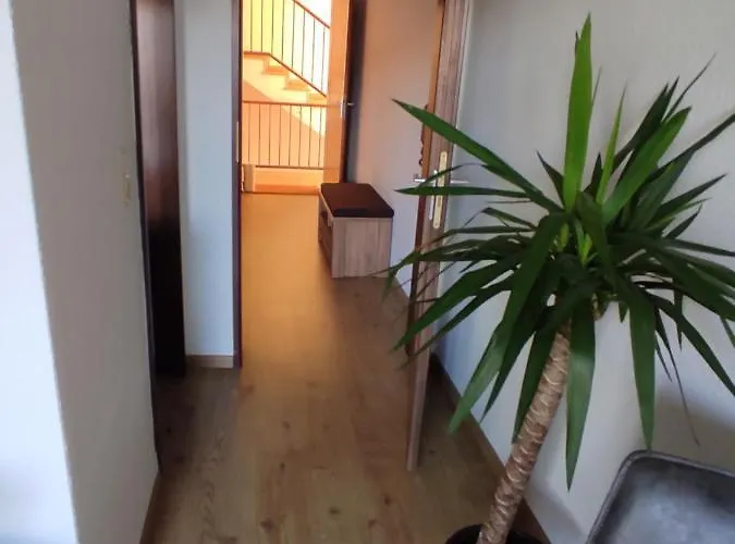 Appartement Panorama *